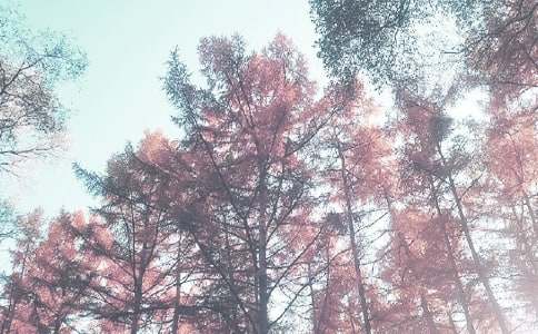 С���＾�̌WӋ�������x13ƪ��