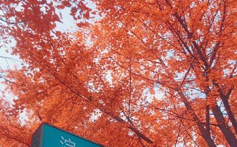 ���յ��LС�W����400��