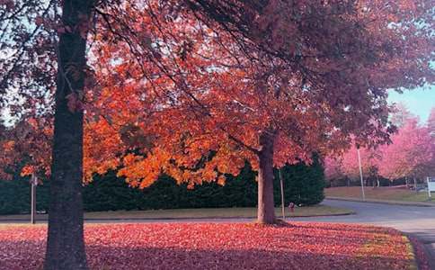 ���յ�ꖹ����ģ�ͨ��25ƪ��