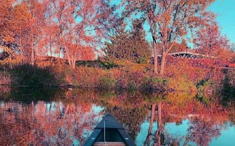 �������~����5ƪ