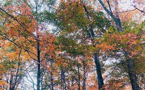 ���յ�ꖹ����ļ��\10ƪ