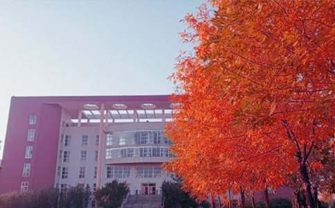 ����˽�Z��һ����