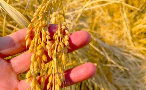 ���յļ�������200�֣����x28ƪ��