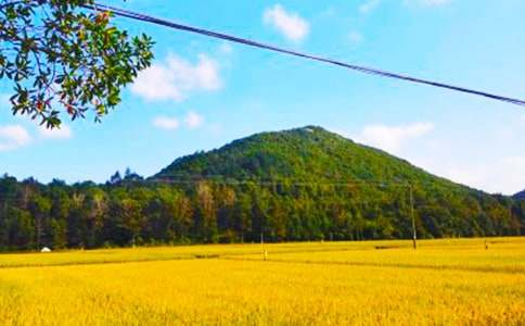 ��������600����ƪ