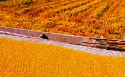 ���x��������300�֣�ͨ��47ƪ��