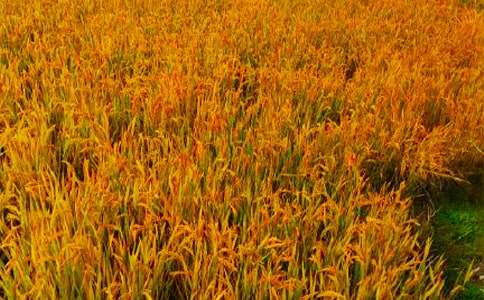 �P����������300�֣�ͨ��23ƪ��