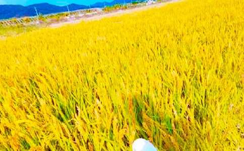 �P�ڊ^���c���յ�����