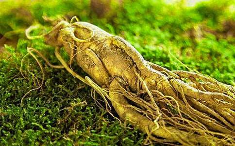 爭創文明城市的作文美好六安人人參與