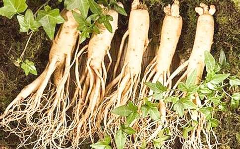 ���᡿�Ұl�F���˅�����