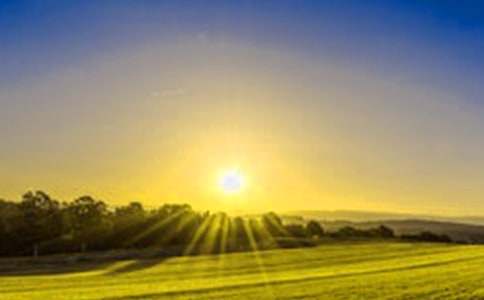 �F���ճ����ķ���