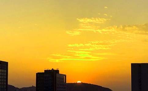 ���伴����������(6ƪ)