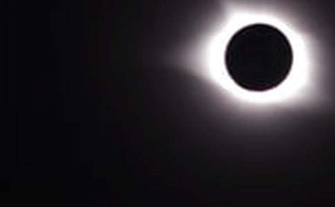 �P���茑��ʳ�ľ���Ƭ��