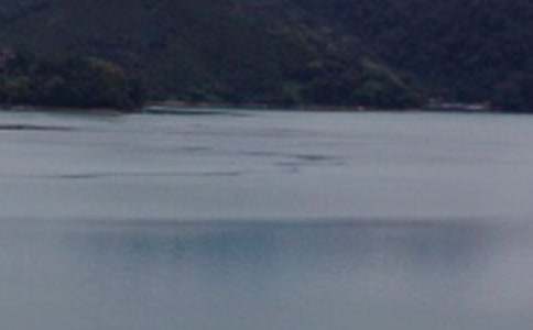 關于臺灣日月潭的小學作文