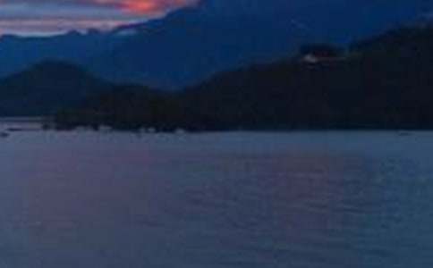 �茑�_������̶������