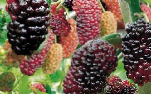 ��ɣ������600��