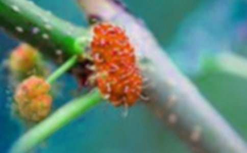 ��ɣ������400��