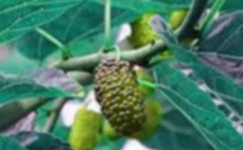 ��ɣ��������600��