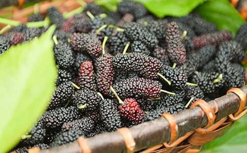 �ϼҵ�ɣ�ؘ��һ��������