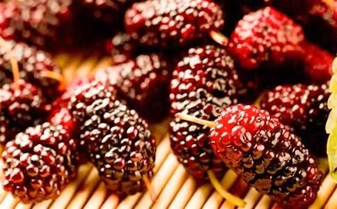 少年的桑葚散文