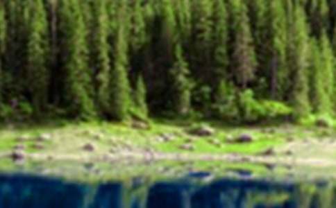 我從山水中感受幸福初三作文