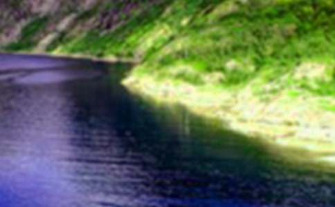 �茑�콭ɽˮ����