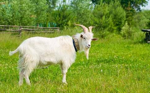 �Ǻ�ɽ������