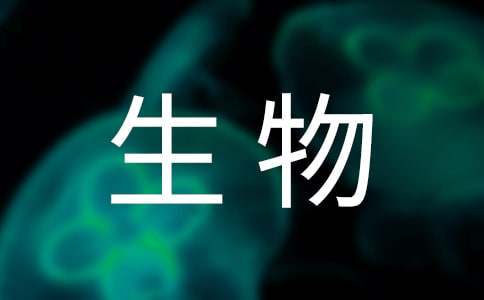 我最佩服的生物——螞蟻