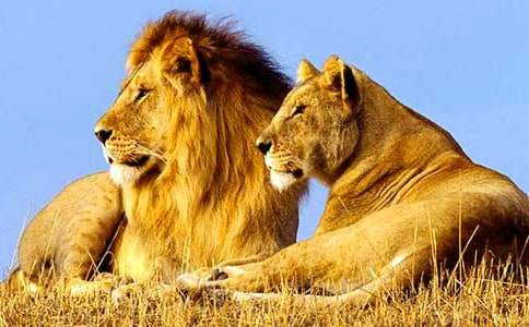 ���P�{��ͯԒ����300��7ƪ