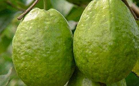 ʯ��t������2017