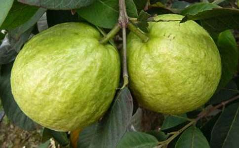 �����T��ʯ������ʮƪ