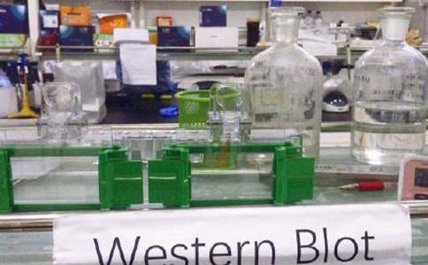 北京卷中考作文范文:奇妙的實驗室(精選25篇)