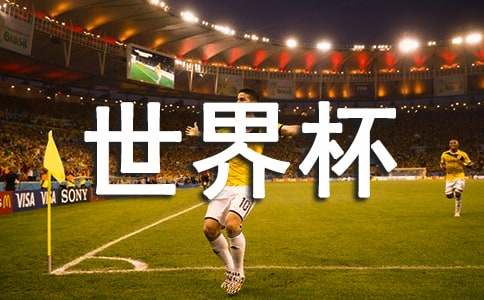 我看世界杯800字作文