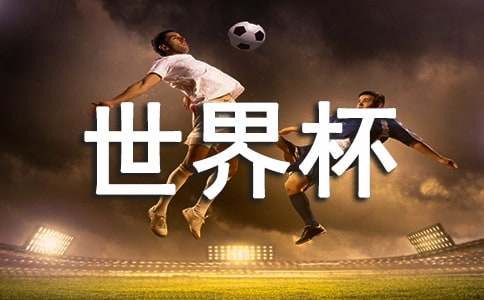我的第一次世界杯看球作文