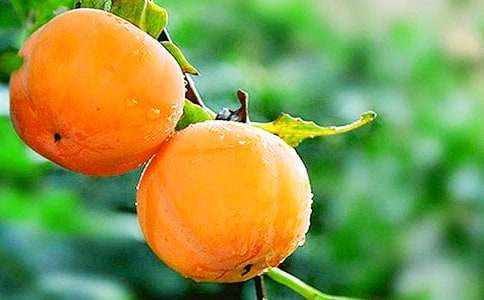 �P�����ӵ�����200��