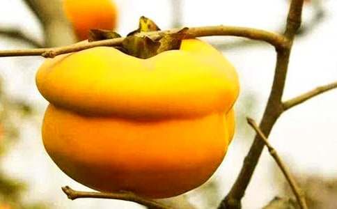 ���l�����Ә����ģ�ͨ��36ƪ��