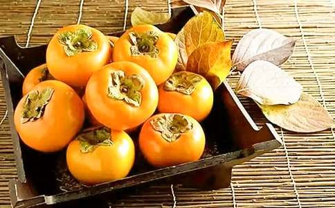 描寫柿子樹的作文推薦