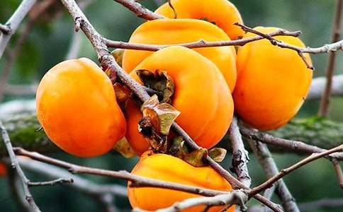 ���l�����Ә�