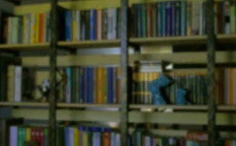 未來的書房作文