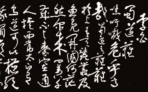 ����y��������