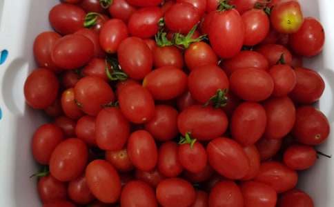 關于水果的諺語