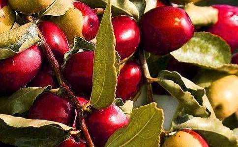 ��ϲ�۵�ˮ����������