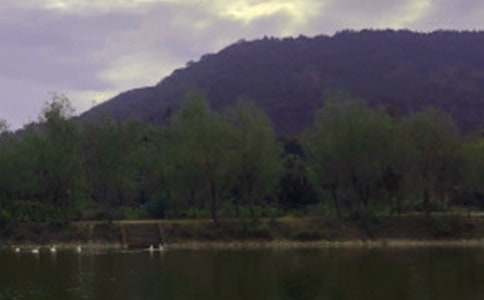 �μ���ɽˮ���һ����