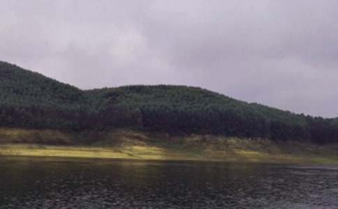 ���xˮ������300����ƪ