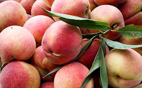 �ɽˮ���ҵĳ�һ����