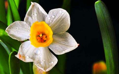 �P��ˮ�ɵ�����400��