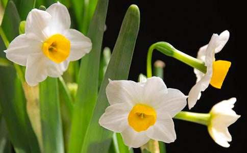 С�W���ģ��^��ˮ��