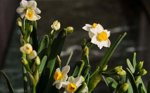 �����x��ˮ������600����ƪ