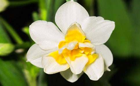 ���^��ˮ�ɻ����L�^������600�֣�ͨ��10ƪ��