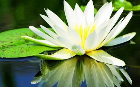 ˯ɏ����300�֣����x35ƪ��