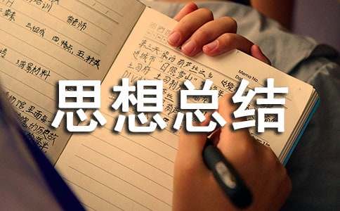 個人政治思想總結通用